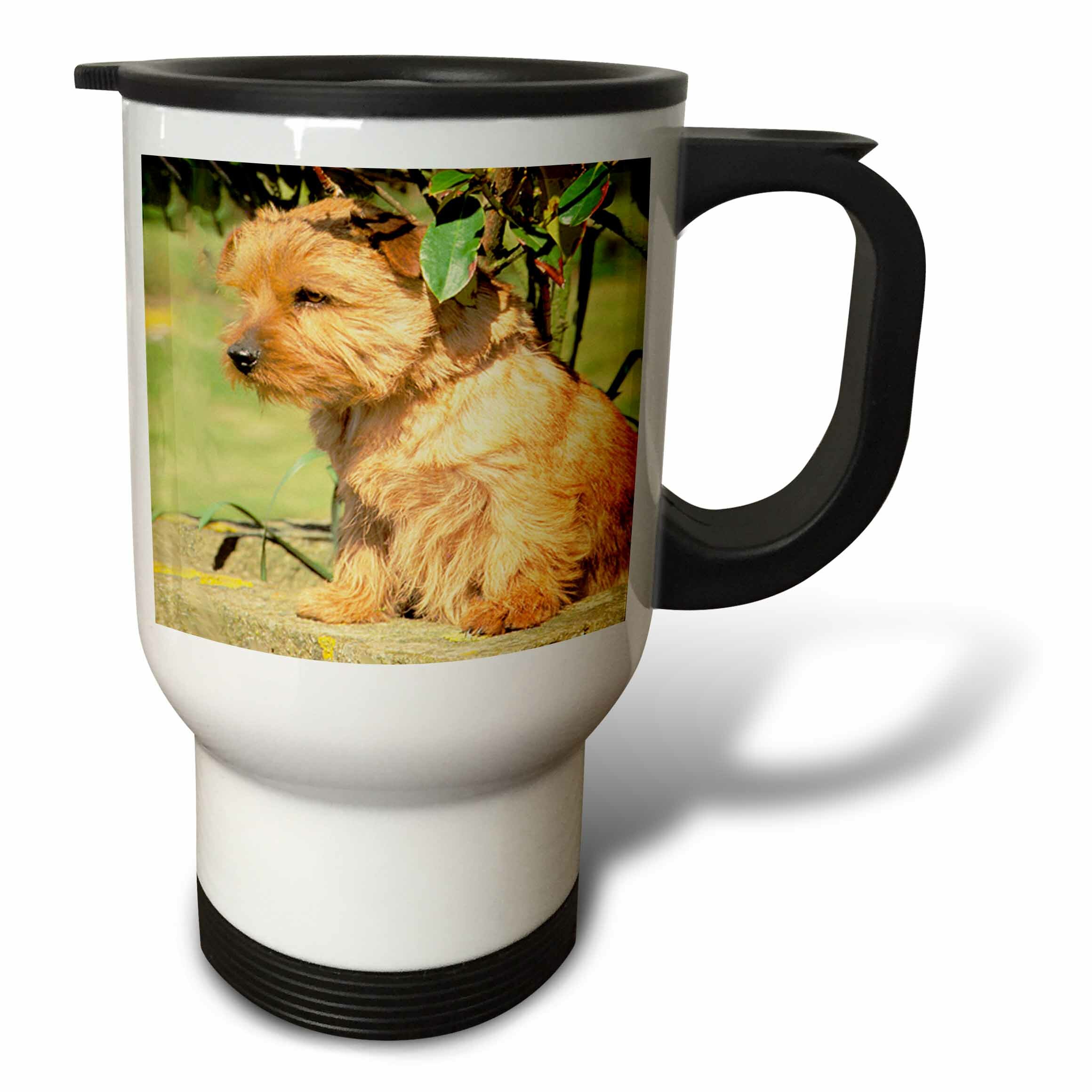 3drose Norfolk Terrier Travel Mug Wayfair