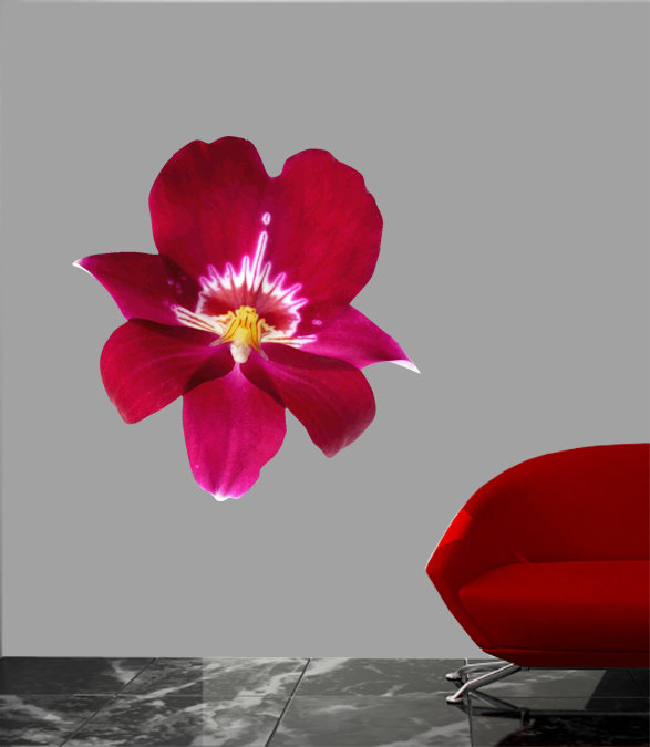 Ebern Designs Goudeau Cutout Orchid Wall Decal Wayfair