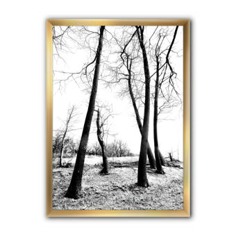 The Holiday Aisle Winter Cardinals By Kim Norlien Picture Frame Graphic Art Print On Paper Reviews Wayfair