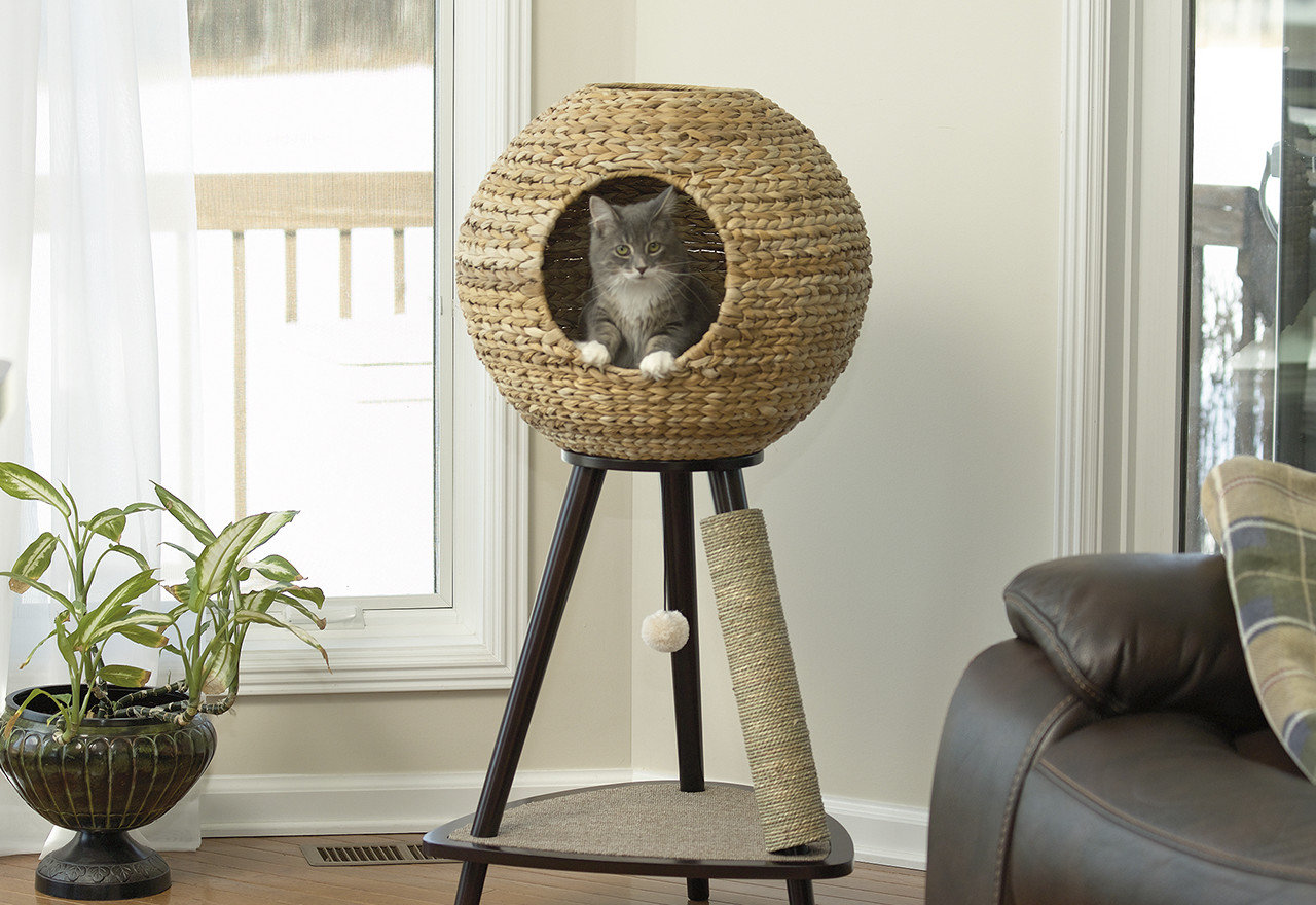  big sale kitty corner cat trees scratchers you ll love in 2021