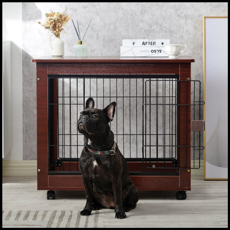dog whisperer crate