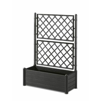 Buy Trellises & Garden Obelisks | Wayfair.co.uk