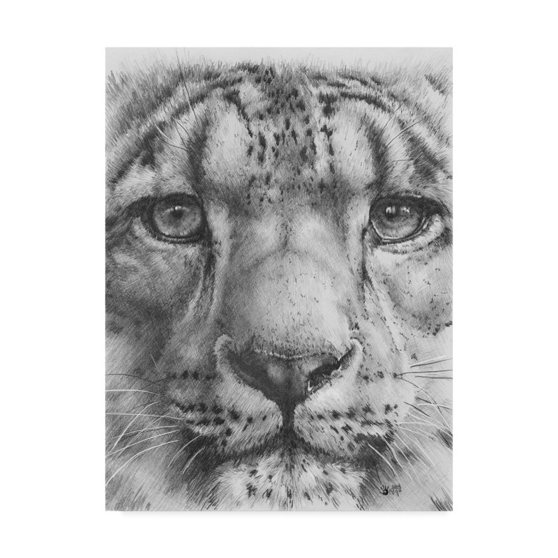 Trademark Art Up Close Snow Leopard Oil Painting Print On