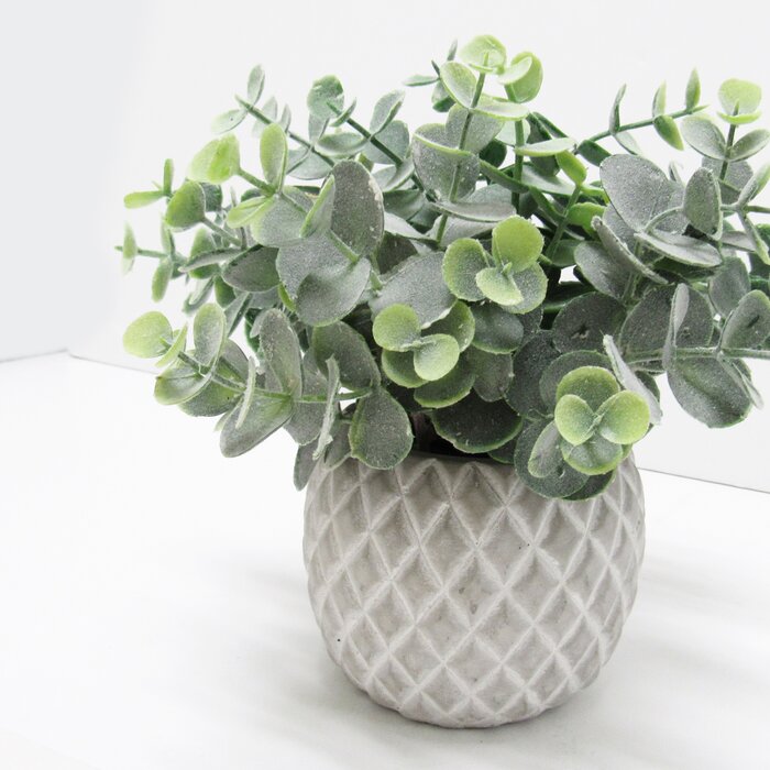 Gracie Oaks 8'' Artificial Eucalyptus Plant in Pot & Reviews | Wayfair