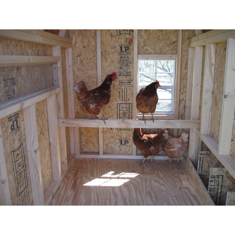 Little Cottage Company Gambrel Barn Chicken House With Ramp And