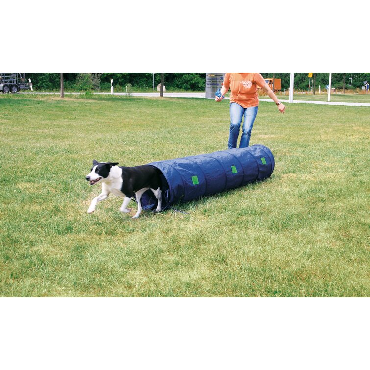 Carry Bag 16" Agility Pet Dog Training Tunnel Play Outdoor Exercise Equipment 