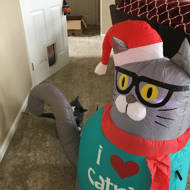 The Holiday Aisle Outdoor Nerdy Cat Christmas Inflatable Reviews Wayfair