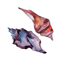 Tropical Elements World Traveler Wayfair