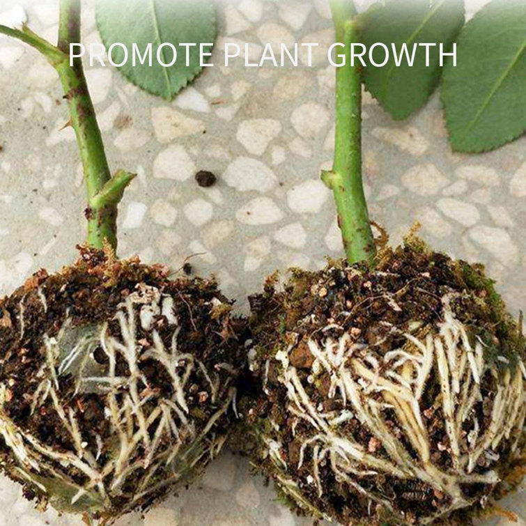 3X Plant Rooting Device High Pressure Propagation Ball High Pressure Box Growth 