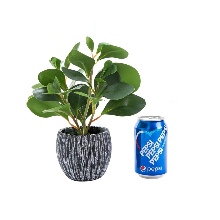 Mini Potted Artificial Plants Real Looking Plastic Fiddle Leaf Fig Plant with Rustic Black Cement Planter for House Office Desk Decor