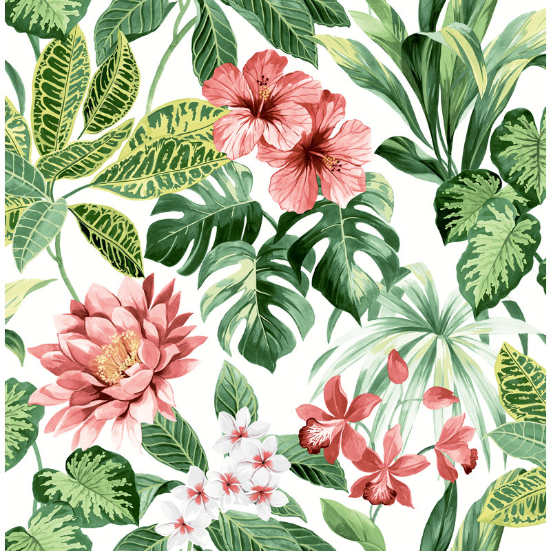 Bayou Breeze Ayden Tropical 33 L X 20 5 W Wallpaper Roll