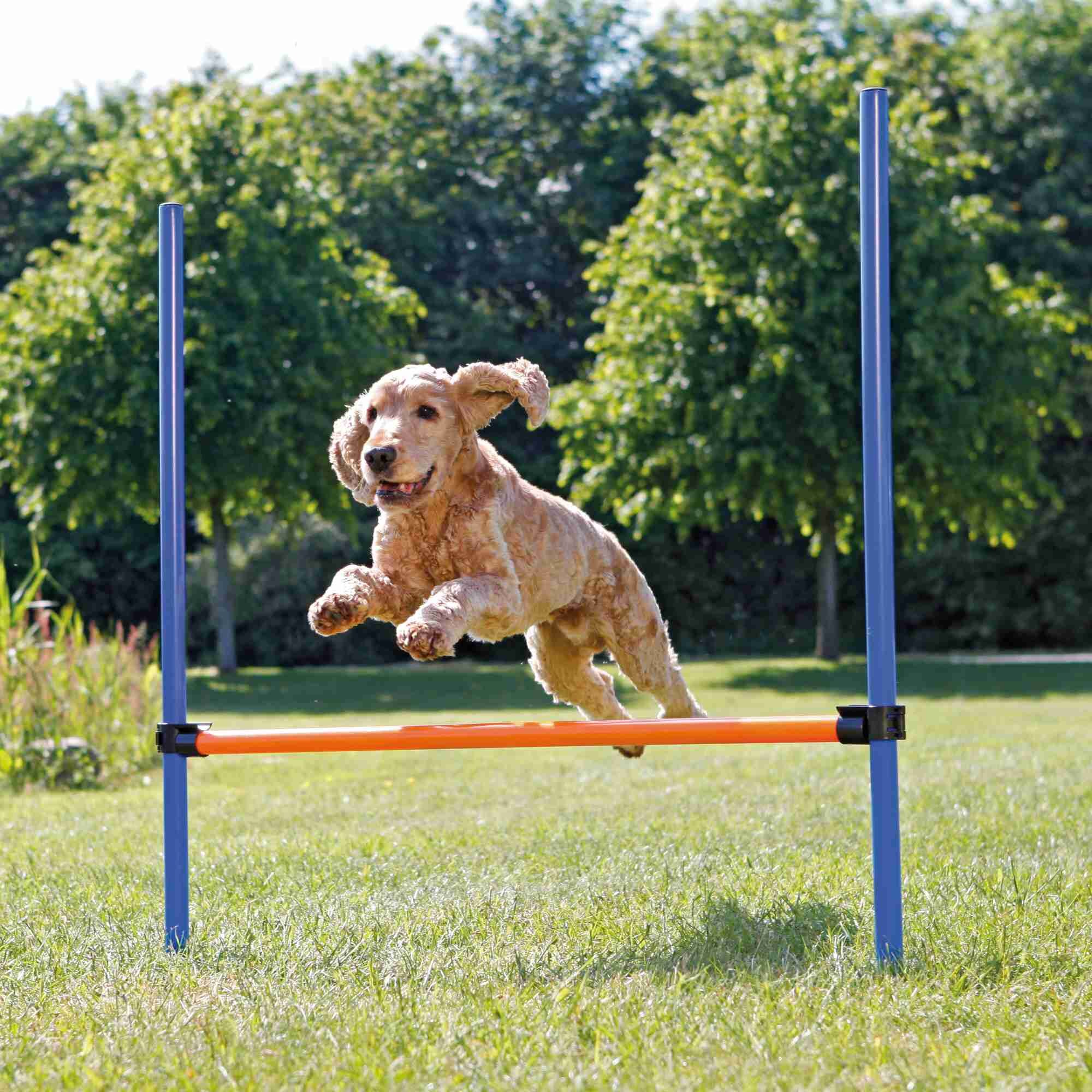 Agility hurdle portable Pole Training Jumping Jump Hurdles Dog Speed show 