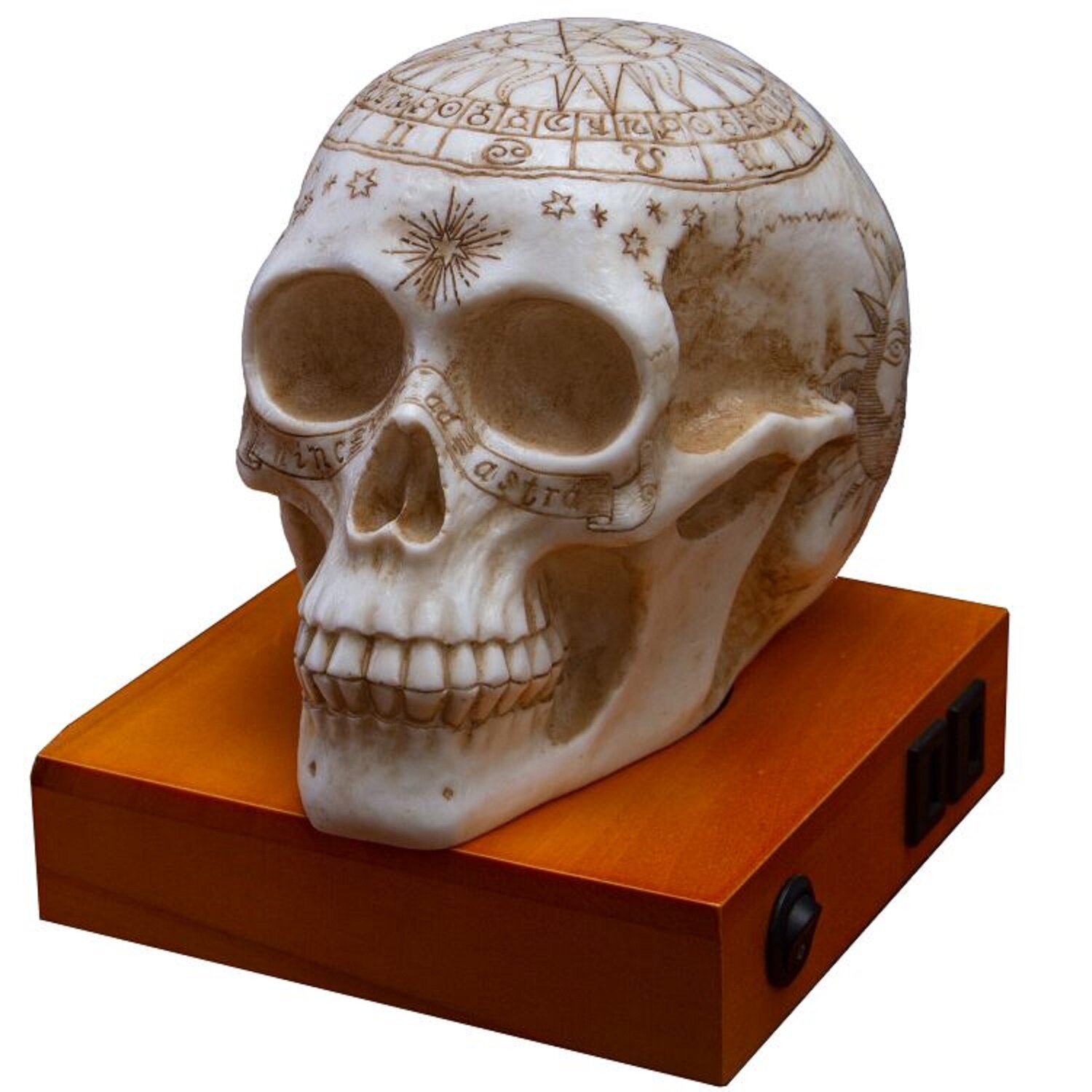 wayfair skull lamp