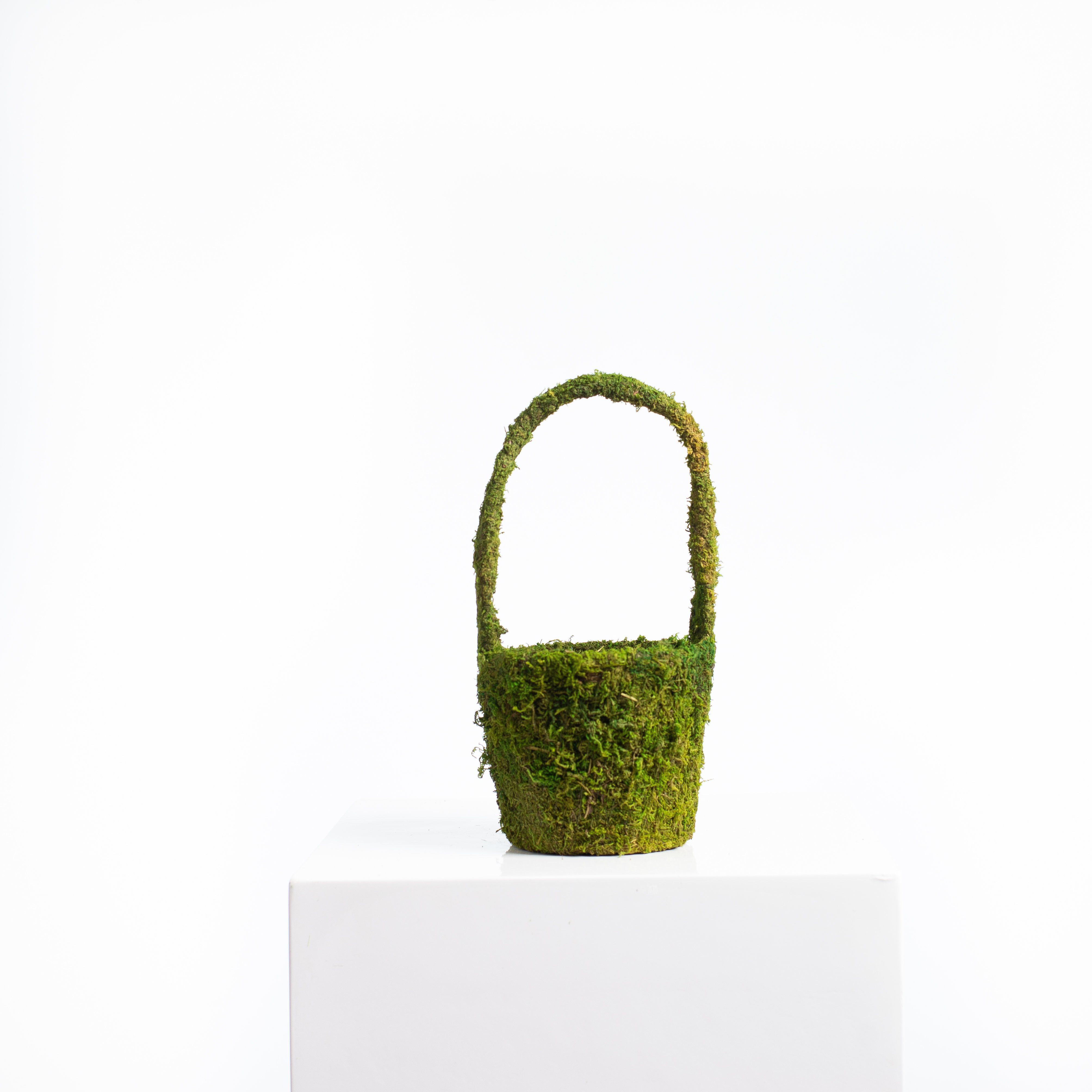 The Holiday Aisle® Preserved Moss Coated Easter Metal/Wire Basket Wayfair