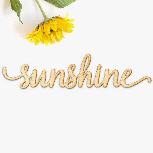 Wrought Studio Sunshine Script Word Wood Sign Wall Decor Reviews