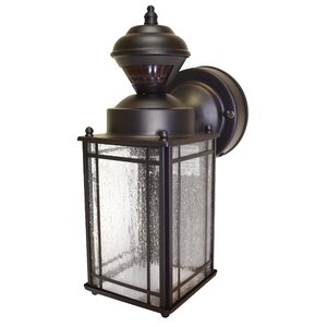Nordmeyer 1-Light Outdoor Wall Lantern