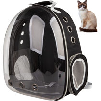 cat in clear backpack