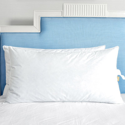 Goose Blend Plush Down and Feather Pillow Alwyn Home Size: Queen