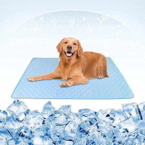 Dog Cat Mat Summer Pet Cooling Bed for Small and Medium Dog Ice Silk Cool Mat Sofa Cold Feeling Pet Mat
