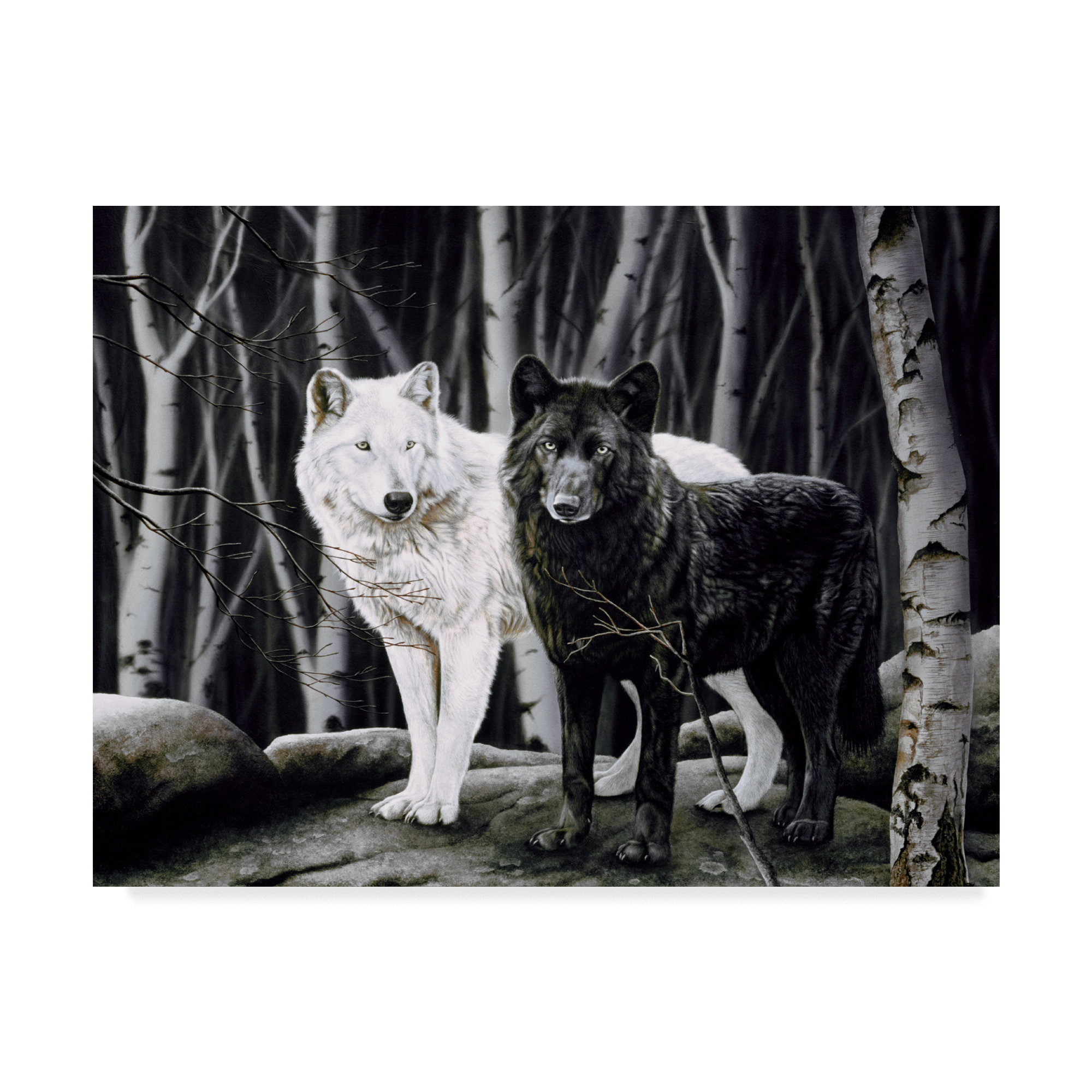 Trademark Art Sentinel Spirits Graphic Art Print On Wrapped Canvas Wayfair