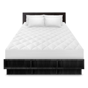 Go to store & view more images Alwyn Home Cotton Mattress Pad