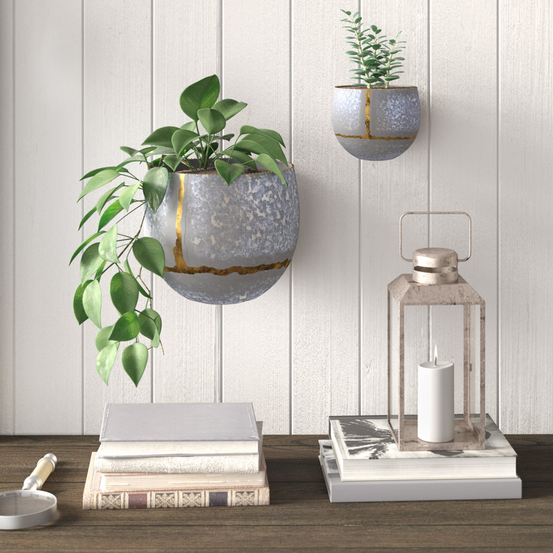 Rolf 2Piece Galvanized Iron Wall Planter Set &amp; Reviews