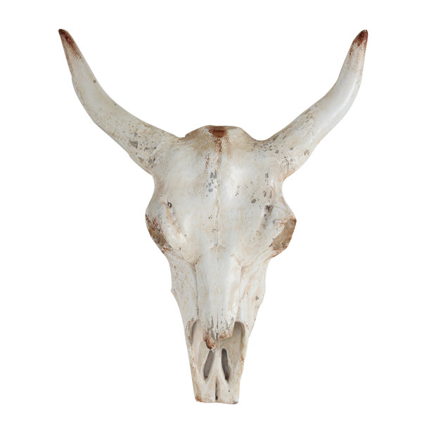 Faux Animal Heads Wall Decor Wayfair Co Uk Faux Animal Heads Wall Decor Wayfair