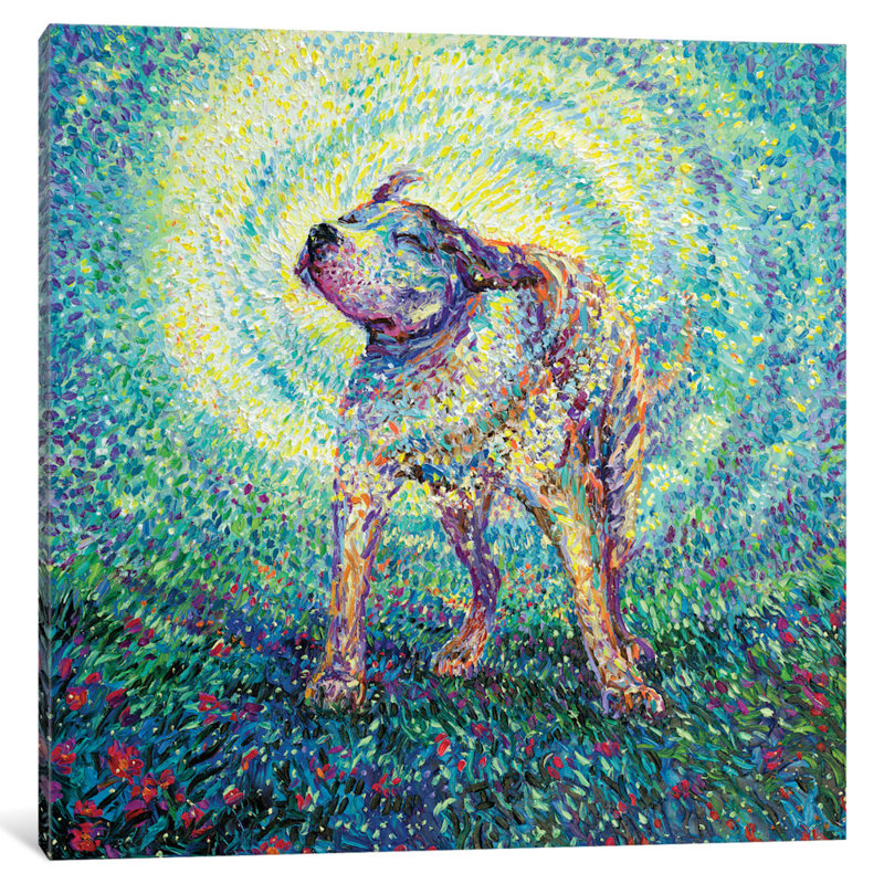 Red Barrel Studio Iris Scott Pitbull Shake Painting Print On