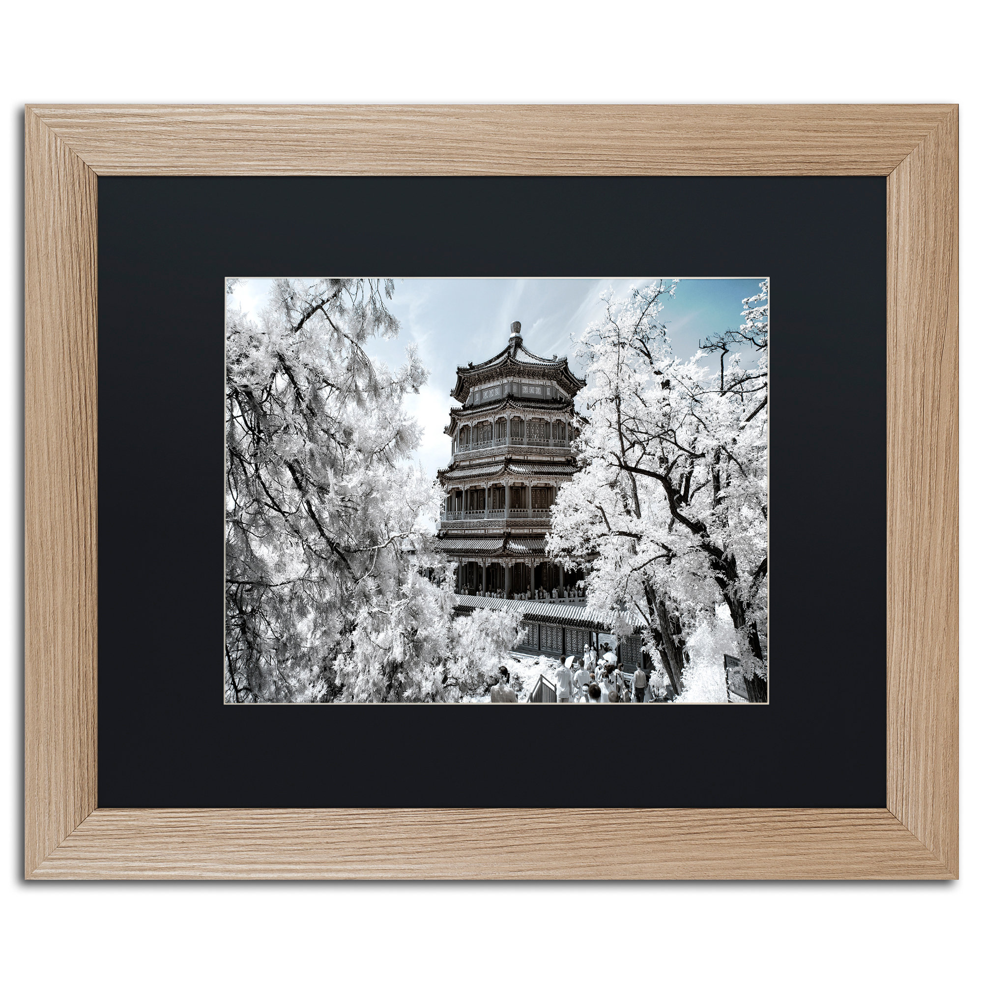 Trademark Art White Temple I By Philippe Hugonnard Framed Photographic Print Wayfair