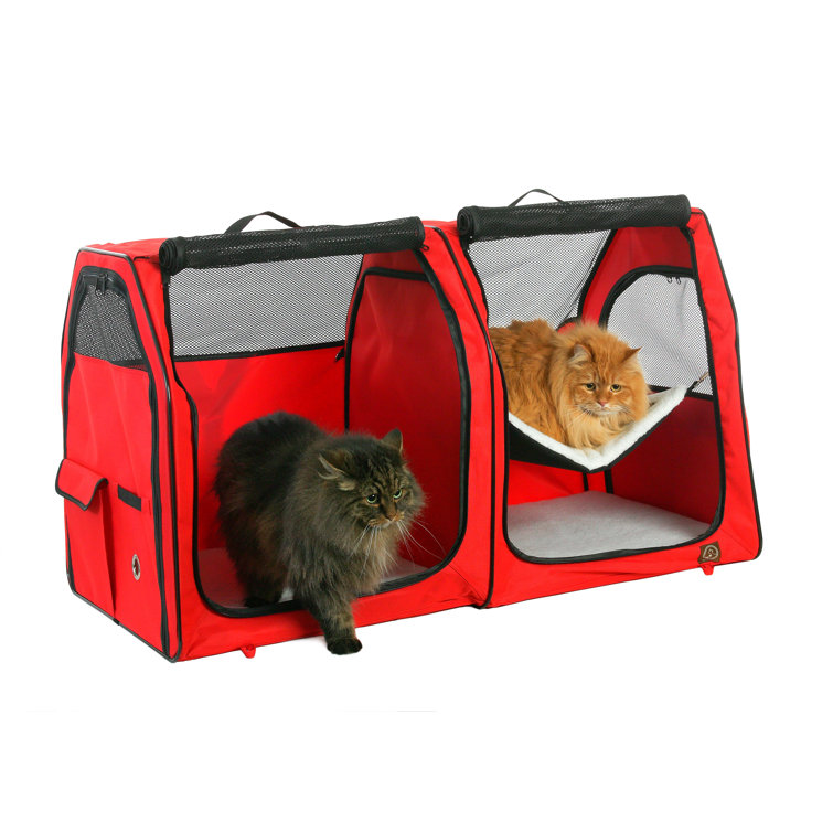 double cat carrier uk