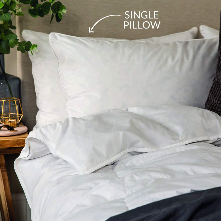 snuggledown wash and dry me duck down pillow