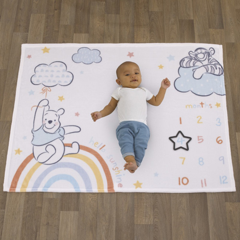 winnie the pooh milestone blanket