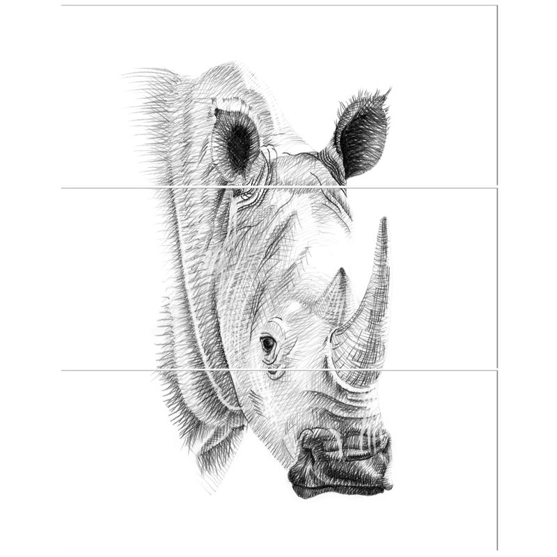 East Urban Home Pencil Rhino Sketch In Black And White Oil