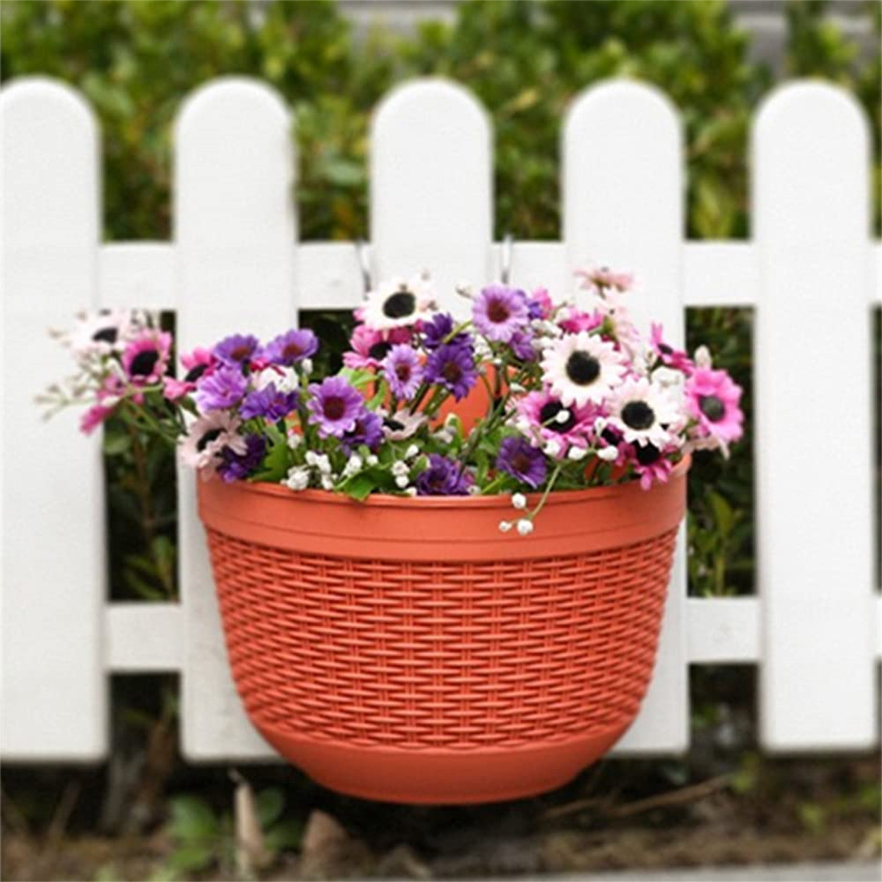 Latitude Run® Plastic Wall Planter Wayfair