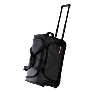 wayfair luggage