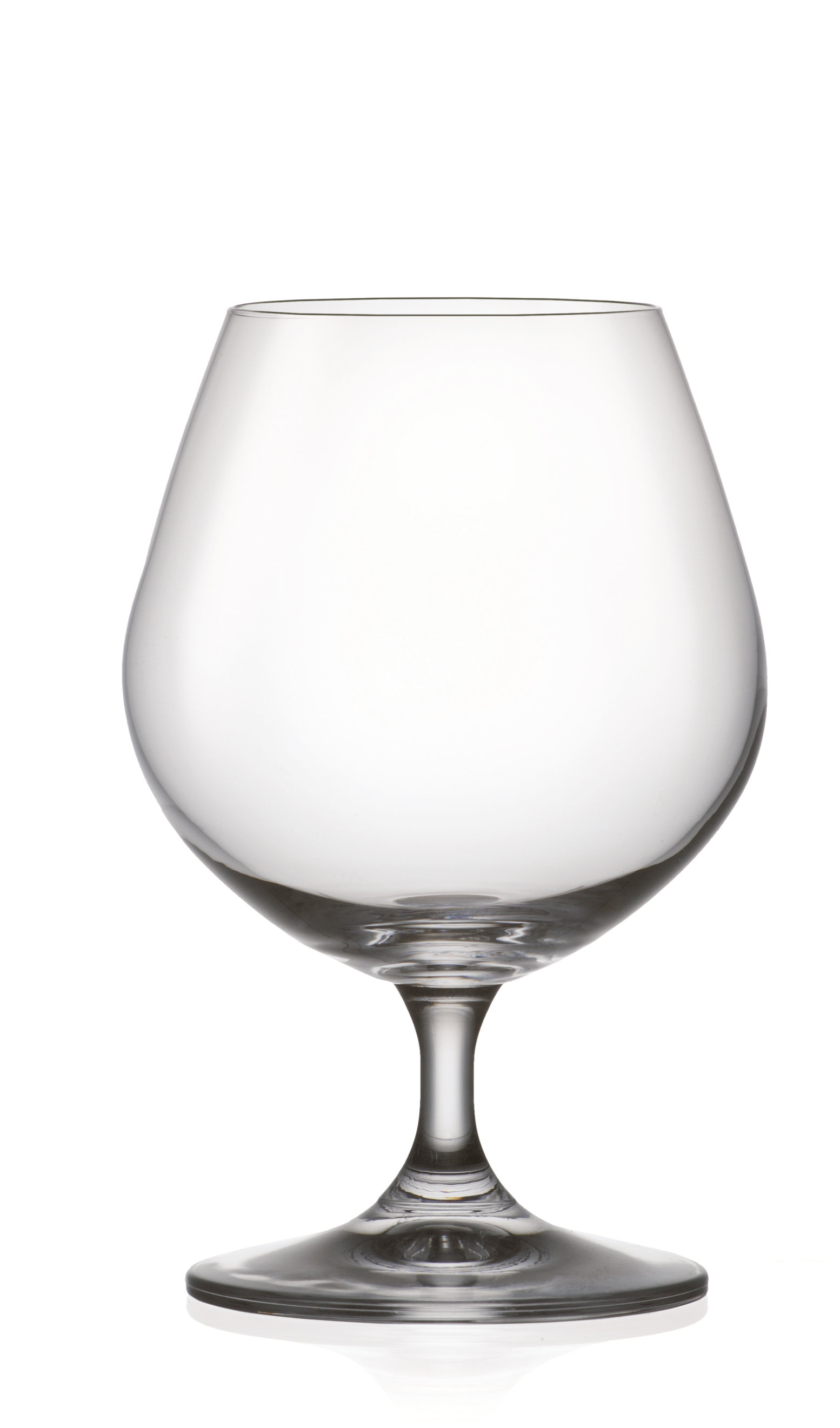 Alcott Hill® Oxfordshire Brandy 16 oz. Glass Snifter Wayfair