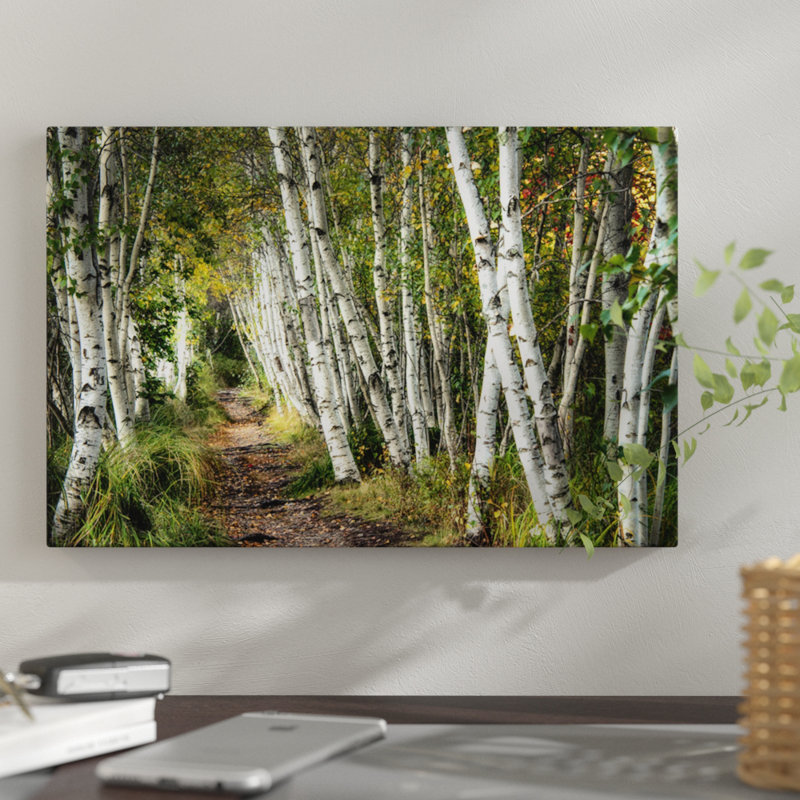 East Urban Home A Walk Through The Birch Trees Photographic