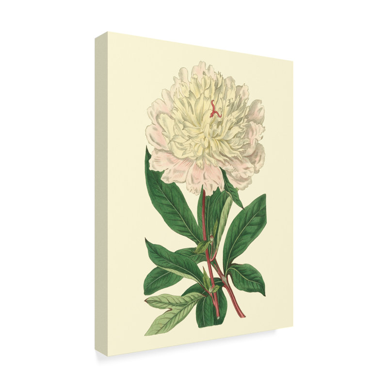 East Urban Home Chinese Peony Acrylic Painting Print On Wrapped