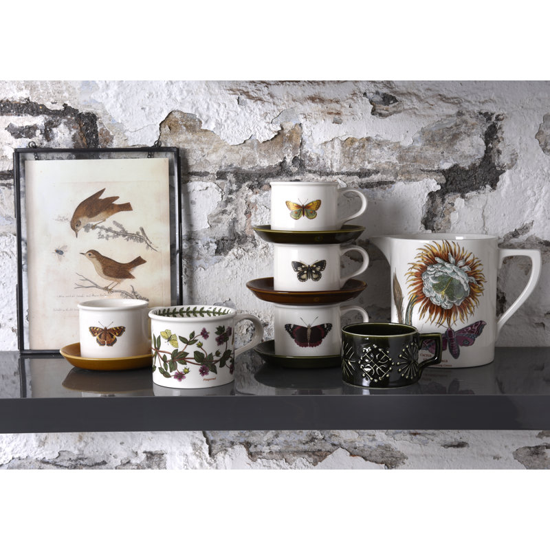 Portmeirion Botanic Garden Harmony Embossed Breakfast Teacup Saucer Wayfair