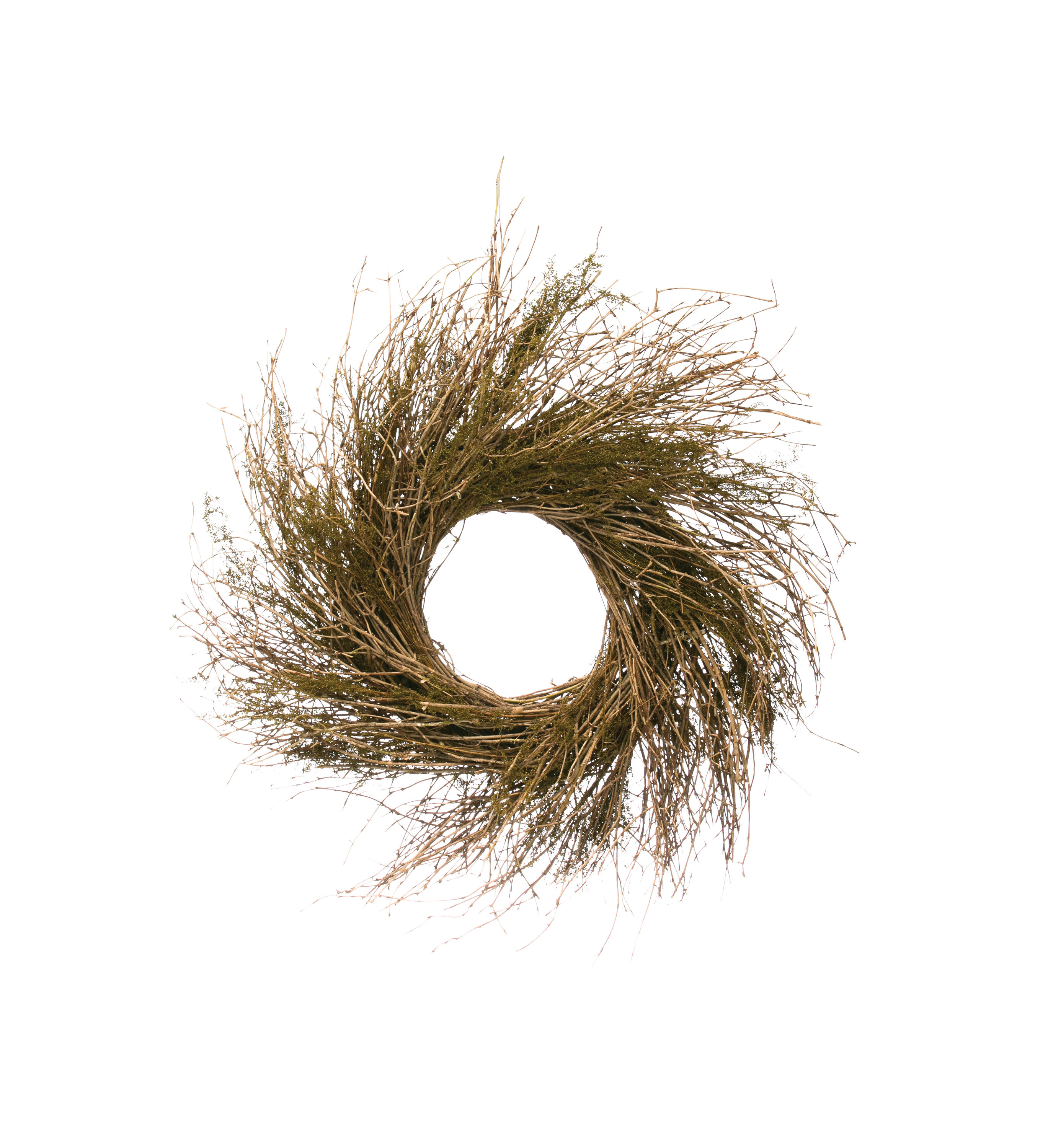 Foundry Select Dried Natural 25 Twig Wreath Wayfair