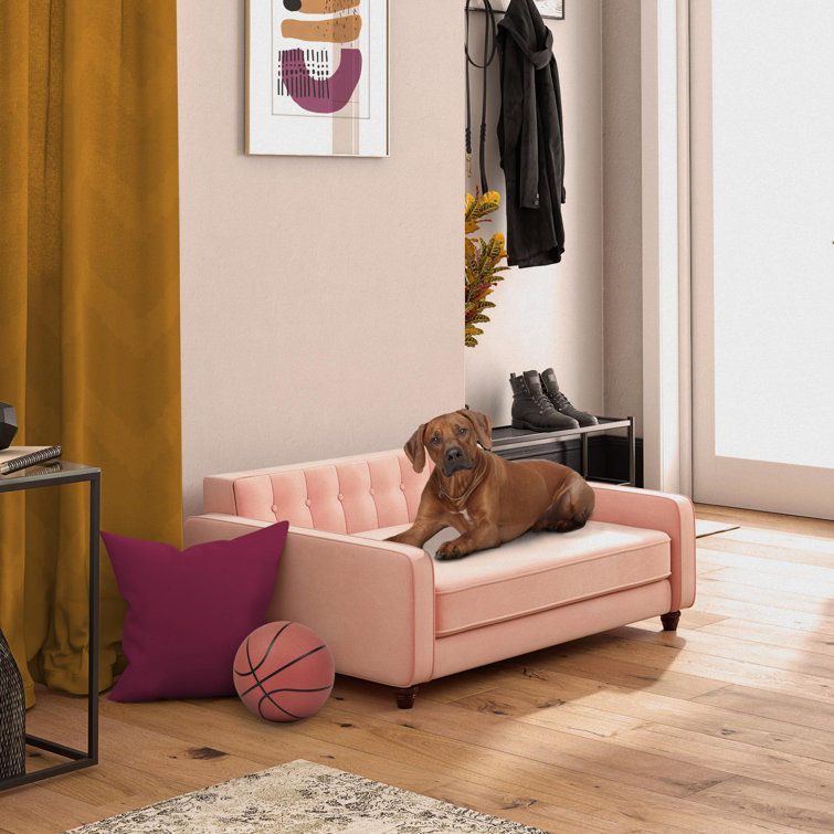 wayfair jackson dog sofa