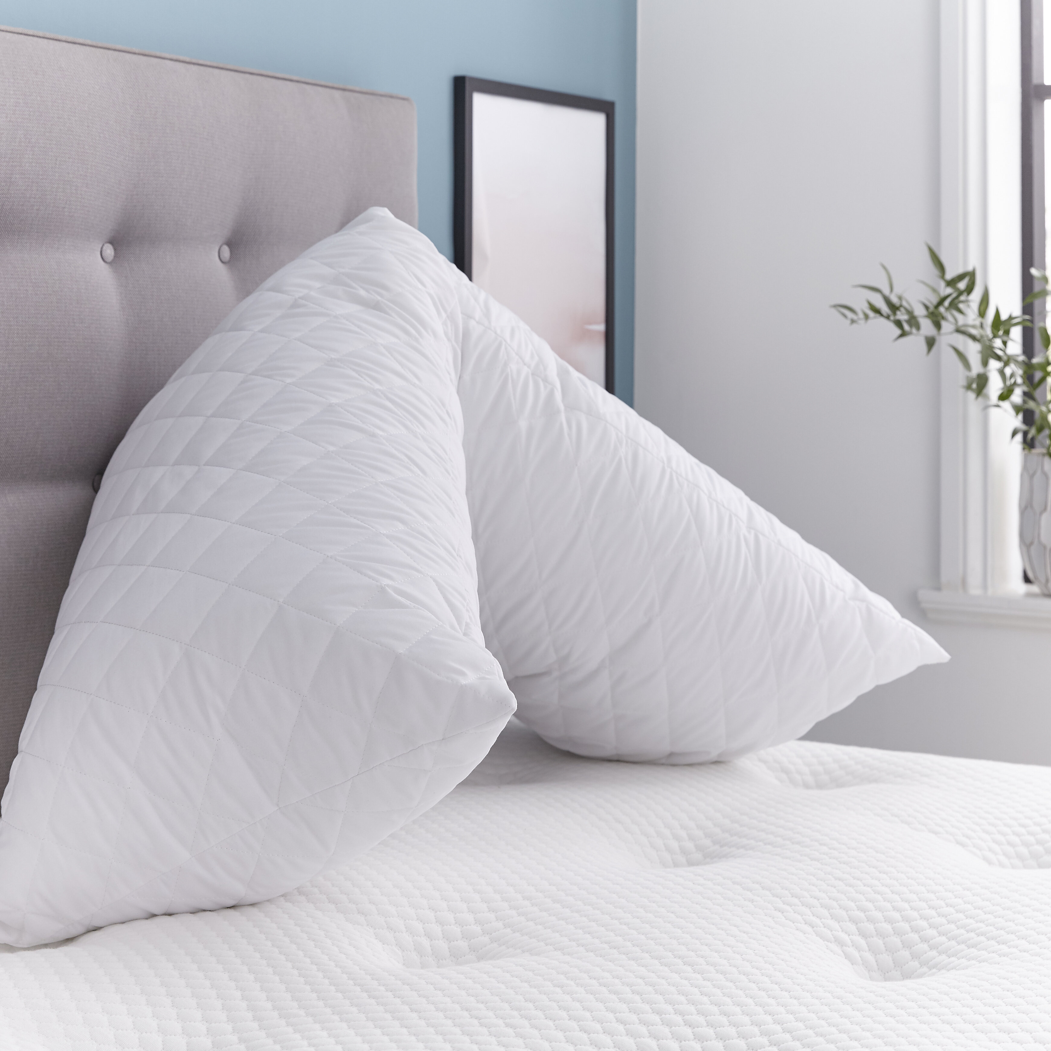 Подушка support. Пиллоу. Linea Flex подушка. Body support Cushion. V Pillow buy in Dubai.