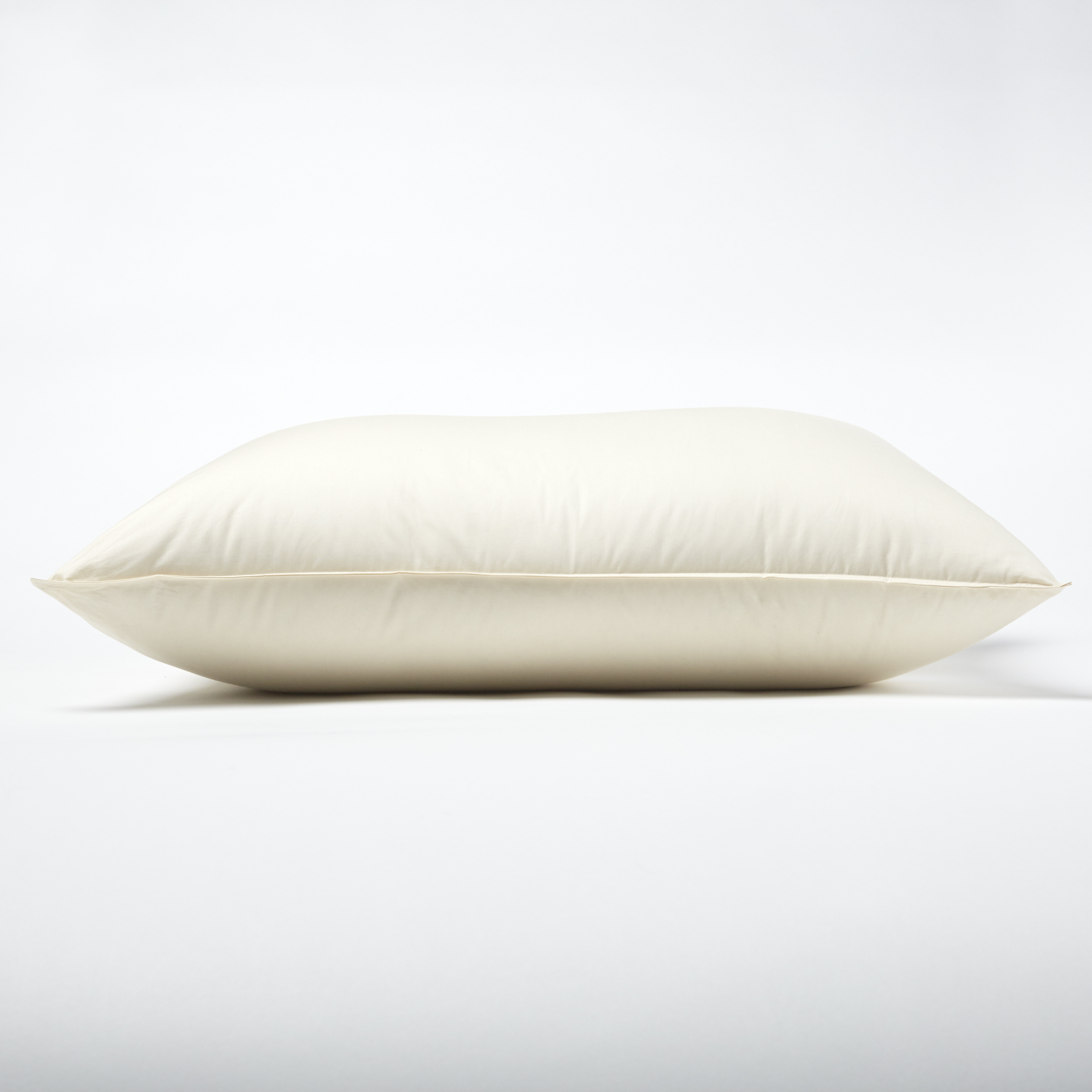 Alwyn Home Down Pillow Wayfair