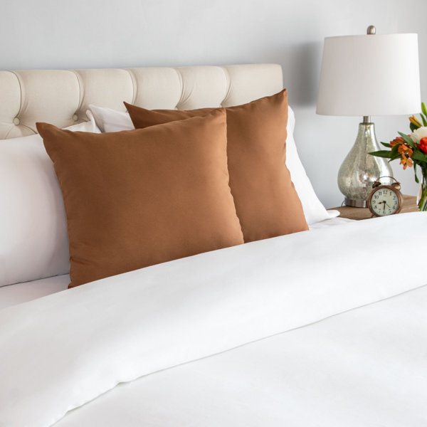 Throw Pillows For Brown Couch Wayfair