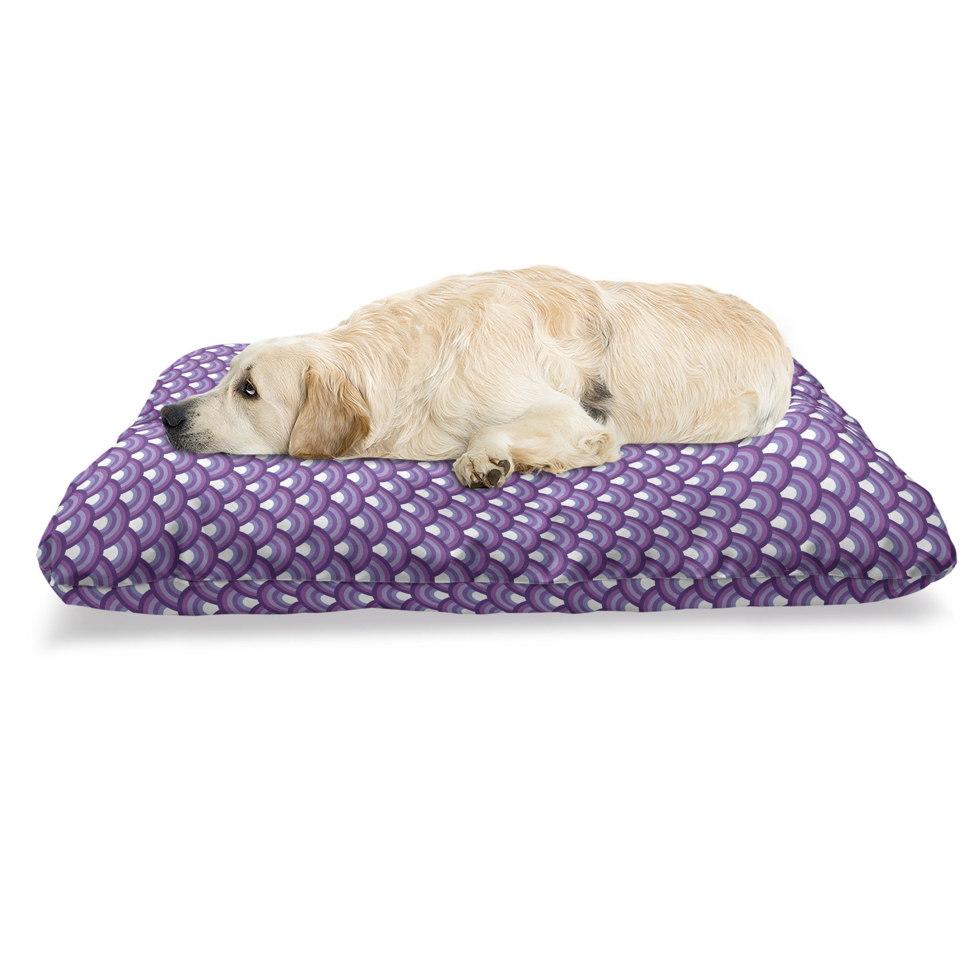 purple dog bed large