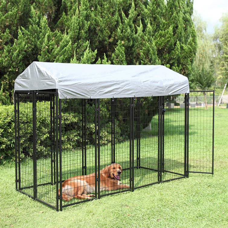 large dog run with roof