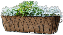 Planters You Ll Love Wayfair Window Bo