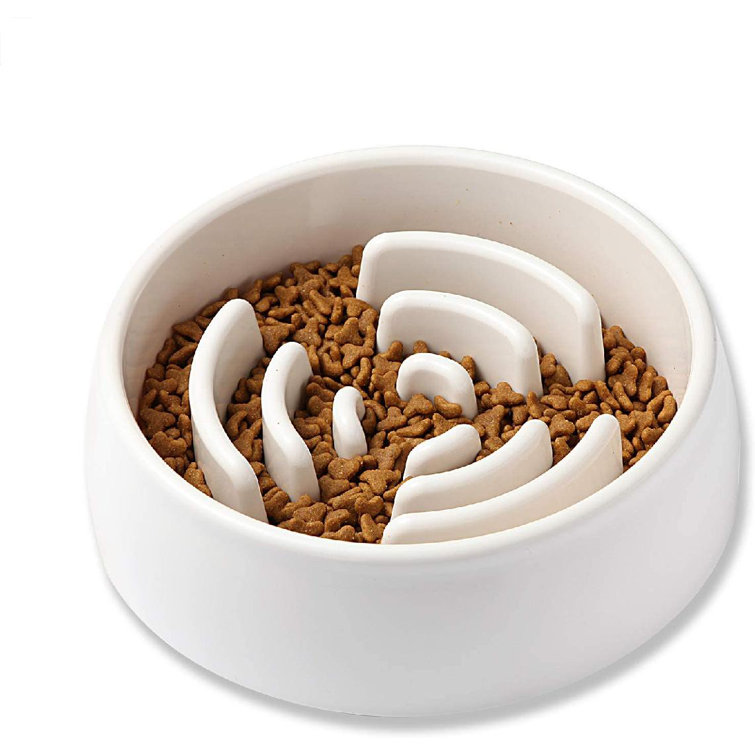 bowl to stop dog eating fast
