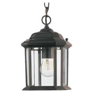 Burtt 1-Light Outdoor Hanging Lantern