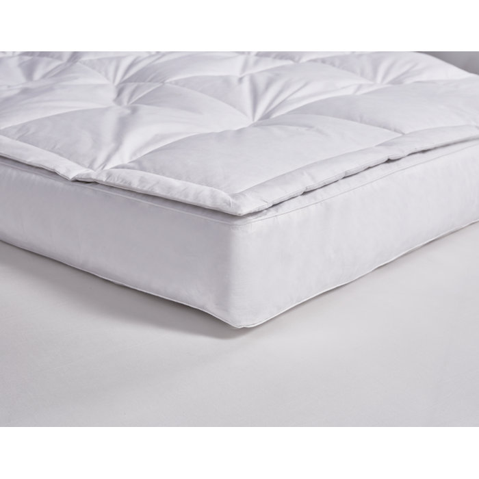 Blue Ridge Home Fashion 233 Thread Count Down Pillow Top